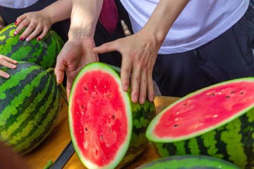 吃瓜免费网红,揭秘吃瓜免费网红的崛起之路  第2张