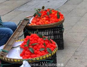 网红水果爆料视频,揭秘热门水果背后的秘密 第3张 网红水果爆料视频,揭秘热门水果背后的秘密 第3张