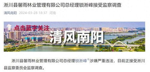 最新南阳爆料视频,最新事件真相曝光  第3张